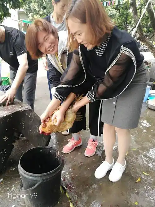 又怕又搞笑的杀鸡方式