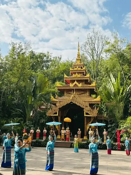 云南西双版纳五天自由行,这份攻略不用动脑_公园_景点_夜市