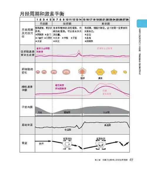 参考值的范围是根据月经周期的四个阶段来分的,代表子宫内膜的周期性