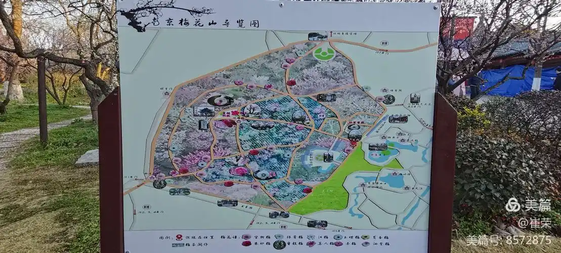 南京梅花山.中山陵2021.2.21