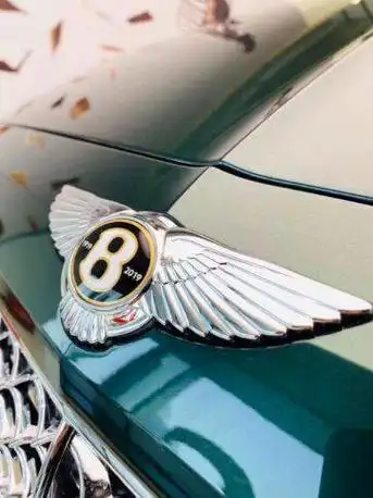 宾利雅致 三种颜色车标_有钱人的社区_易车社区