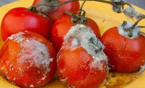 食物变质和食物保质期你需要知道的那些事