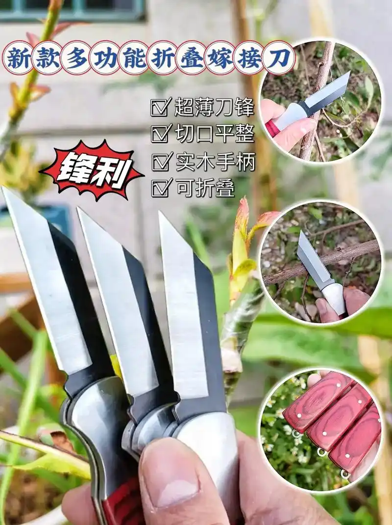 新款多公功能嫁接专用刀.家人们～新款多功能嫁接刀来啦 ,刃口 - 抖音