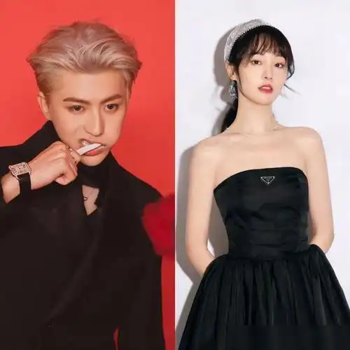 刘亦菲巴结了某品牌很久只拿到大使头衔张艺兴一宣就是代言人