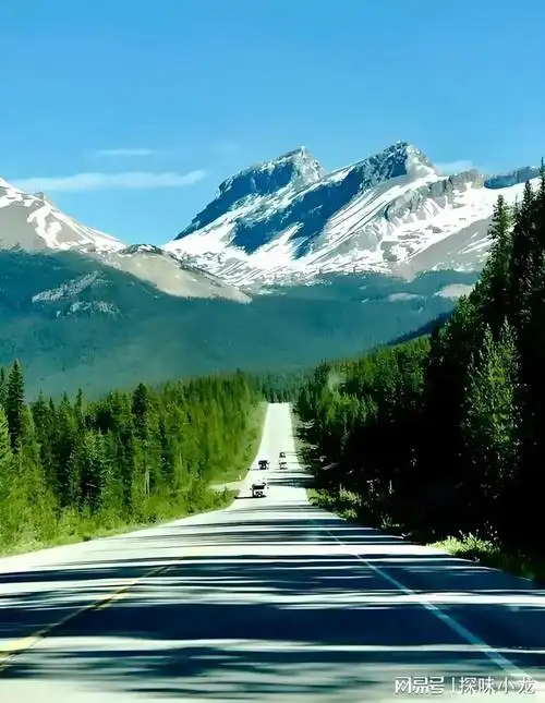 世界十大最美公路中国上榜三条