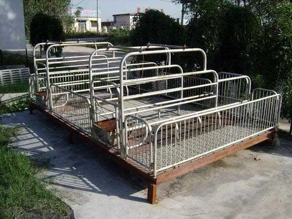 使用母猪产床有哪些优点