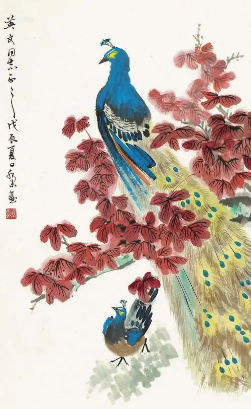 0037孔雀67设色纸本67