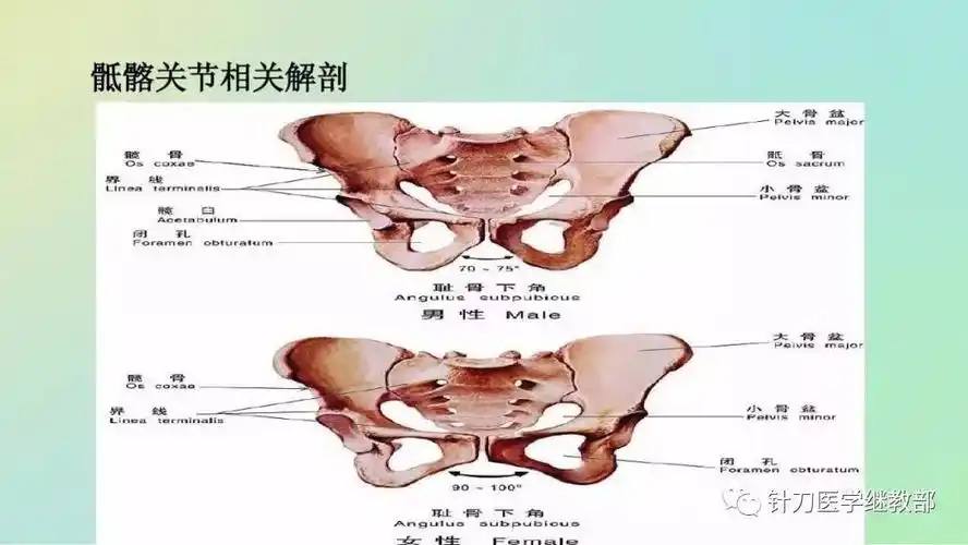 骶髂关节半脱位