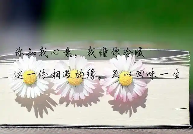 此生遇见了你是注定的缘分