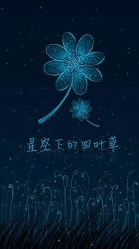四叶草在未来唯美盛开,现在只要你做我的花海.