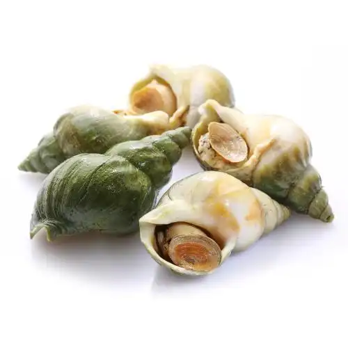 问鼎食神 加拿大野生翡翠螺 500g 袋装(临近保质期