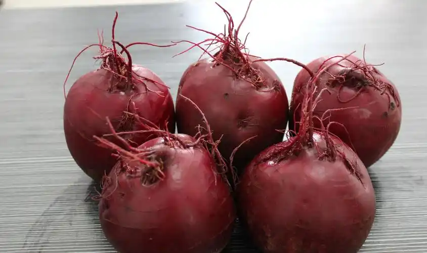 p data-id="tzuj1ejxbmpr">红菜头是苋科甜菜