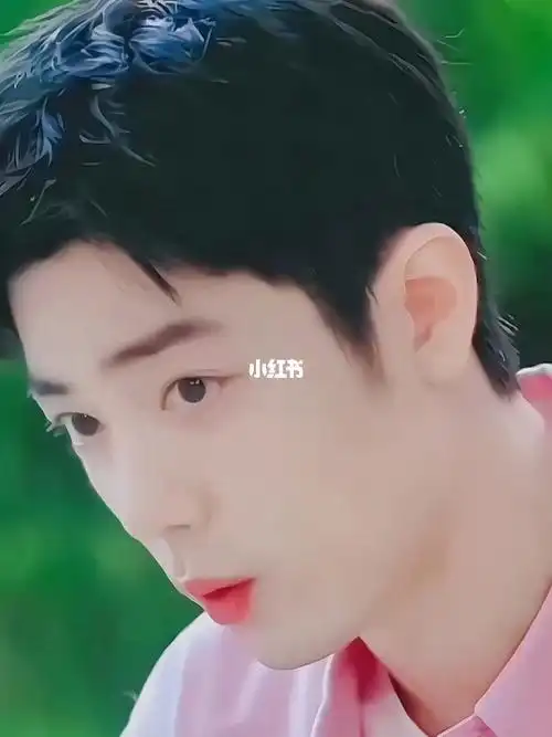 肖战治愈系笑容