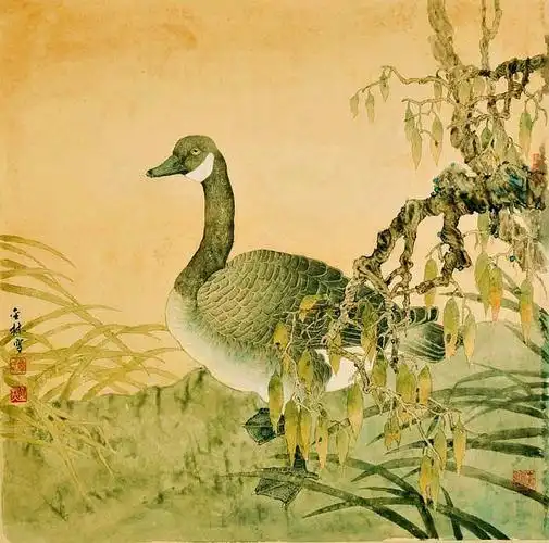 获奖工笔花鸟画