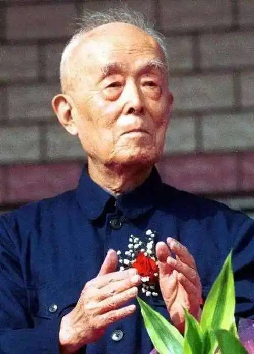 季羡林:与妻子分居数年,德国邂逅真爱,割爱回国遭儿子决裂13年_伊姆加