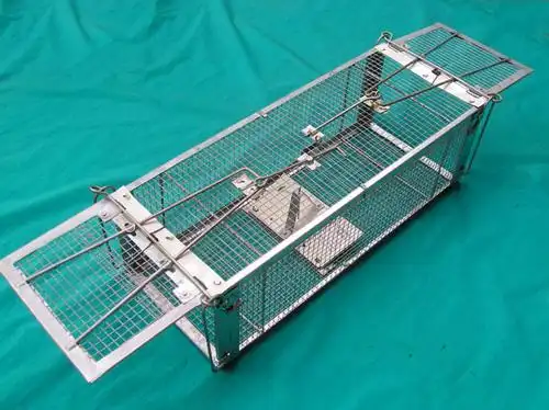 濮阳专业鼠槽更彻底