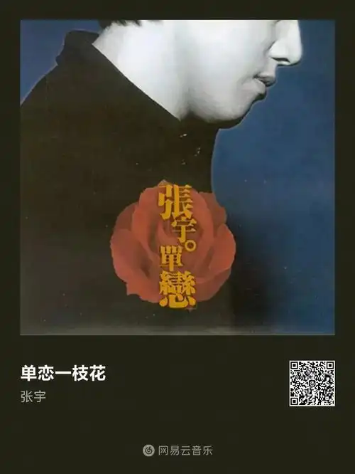 虽然我母胎solo但网易云你大可不必