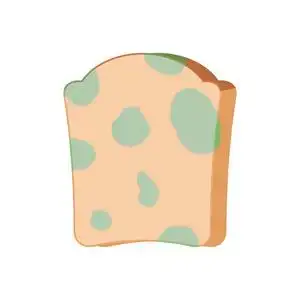 肮脏的食物媒介例证在白色背景的玻璃碗里发霉的西红柿.不健康的食物.