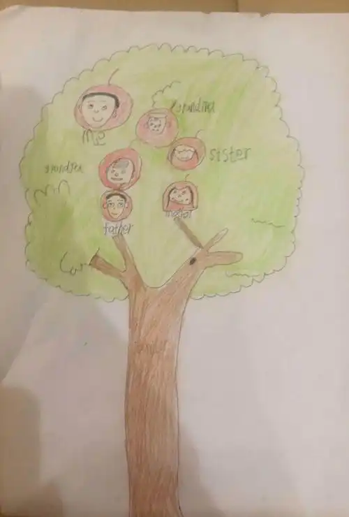 弘毅学校停课不停学,三年级英语优秀作业展之家庭树篇