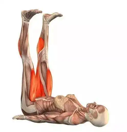 瑜伽体式之倒箭式