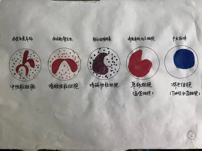 感冒是怎么回事德阳护士小姐姐手绘12张漫画来科普