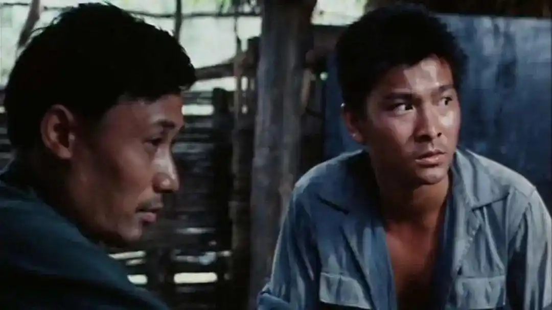 刘德华第一获得奖杯电影 投奔怒海