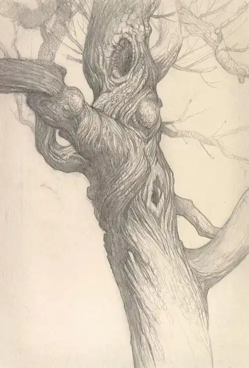 素描,一棵树就是一道最美的风景!