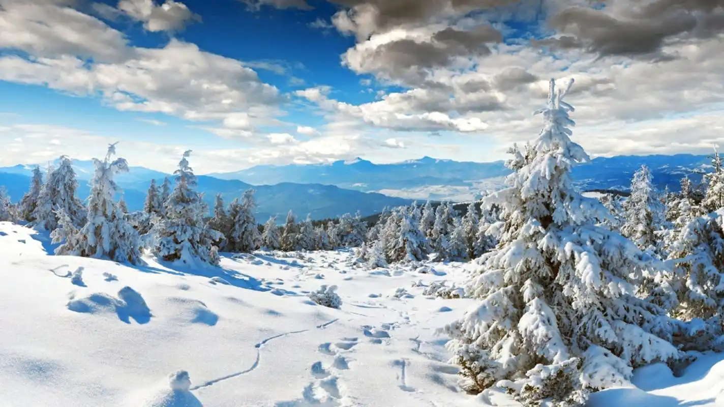 冰天雪地唯美雪景高清桌面壁纸