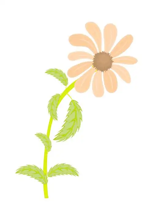 橙色雏菊矢量元素