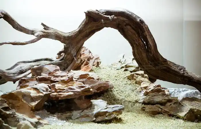 漂亮的拱桥溪流石景水草缸造景案例(多图)