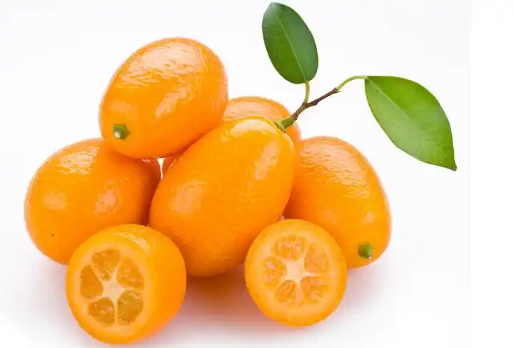 金桔美名扬 醉甜杭州人