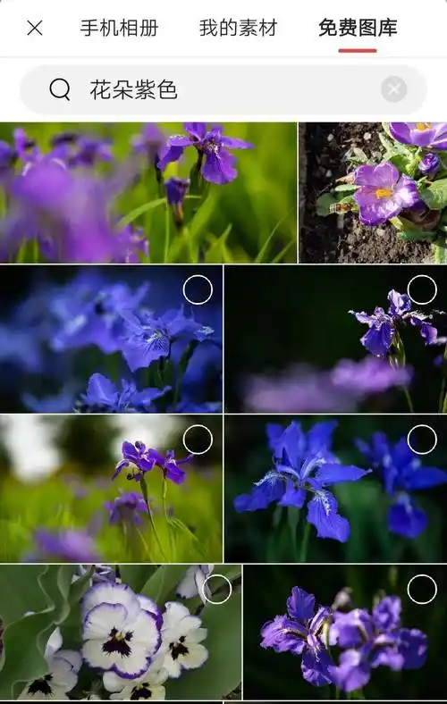 原来在这里,可以轻松找到免费的图片素材