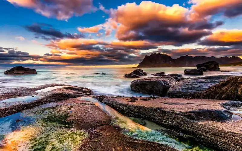 不管闲事的美篇东方视界摄影艺术交流群/一群花鸟风光篇(第十五期)