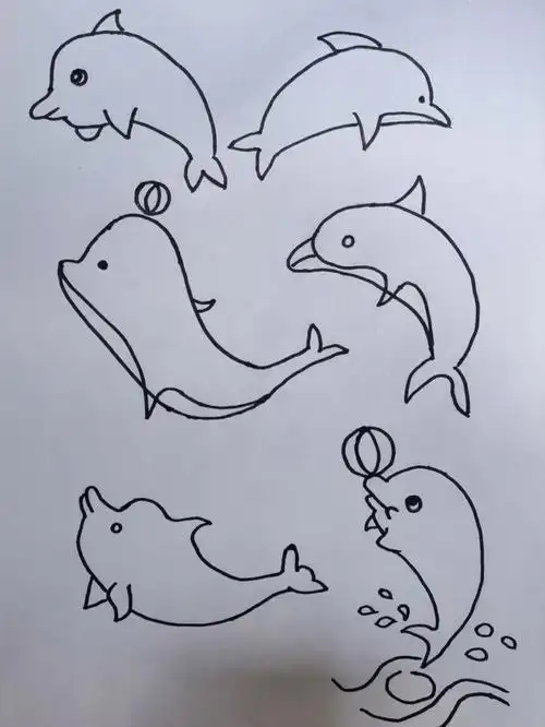 简笔画海豚