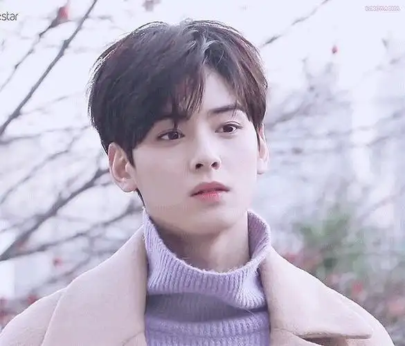 脸蛋天才车银优头像(一)