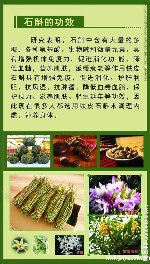 石斛的功效与作用煲汤