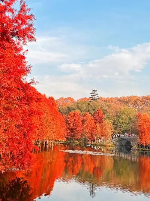 「摄影61随感」就那几根树木,却成冬天最美风景