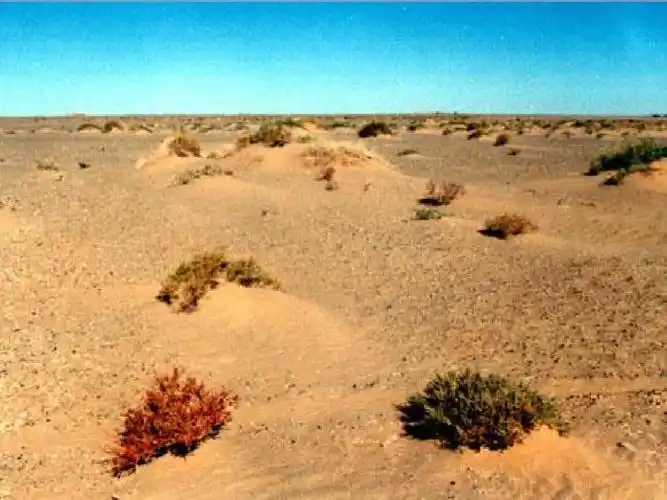 [名校联盟]陕西西安市临潼区华清中学高二地理《21 荒漠化的危害与