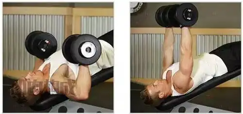 保证让你的胸肌比你以往任何的时候都大!