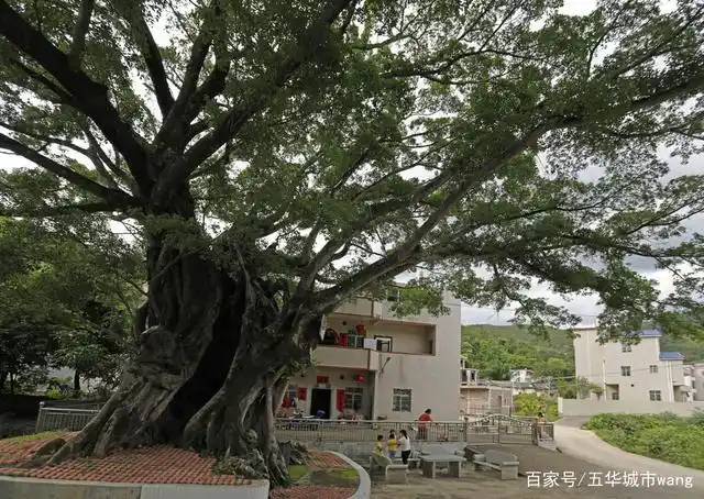 五华最美20村:郭田镇郭田村