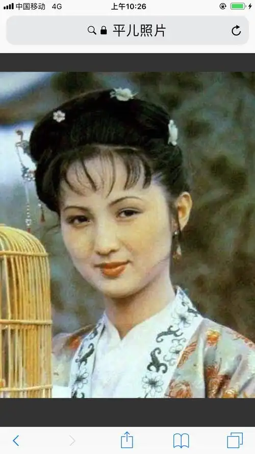 一剪梅《红楼梦》四大首席丫环之平儿