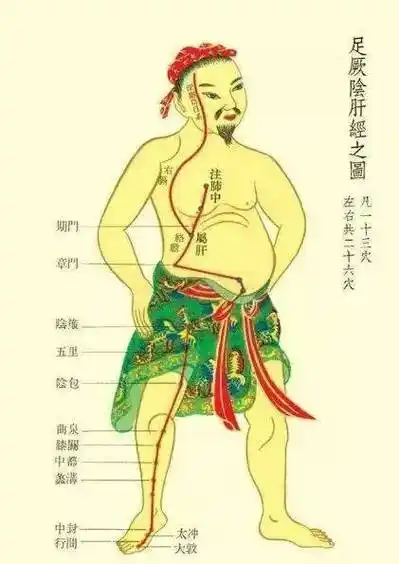 每天揉一次大腿内侧,两周后,奇迹出现了!