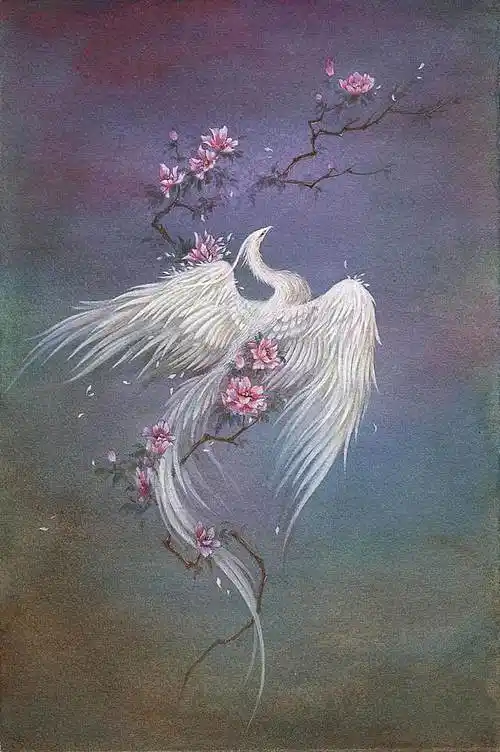 杉泽手绘山海经重明鸟