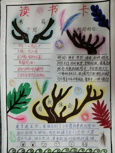 五六班优秀读书卡展览