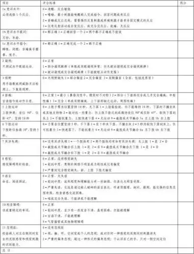 美国国立卫生研究院卒中量表nihss新
