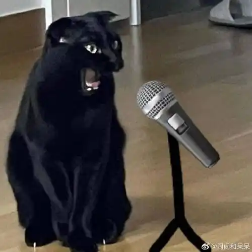 黑猫麦克风92表情包又增加几个