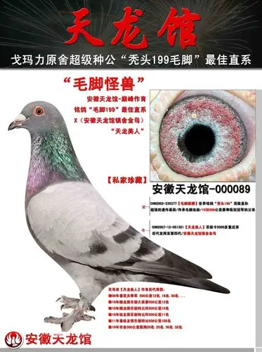 电脑.毛脚:★【毛脚怪兽】