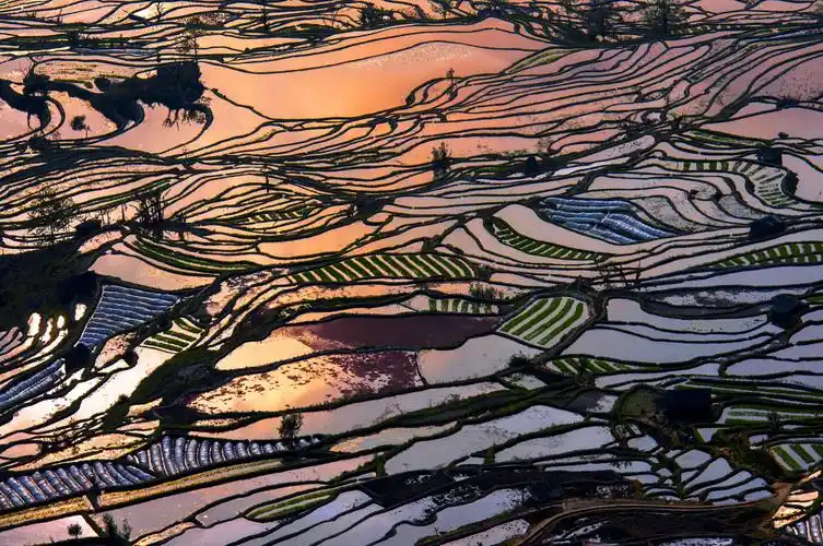 云南元阳红河哈尼梯田