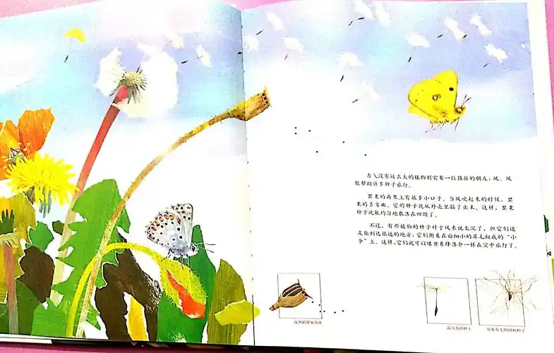 总有办法抵达诗和远方——《一粒种子的旅行》绘本教学