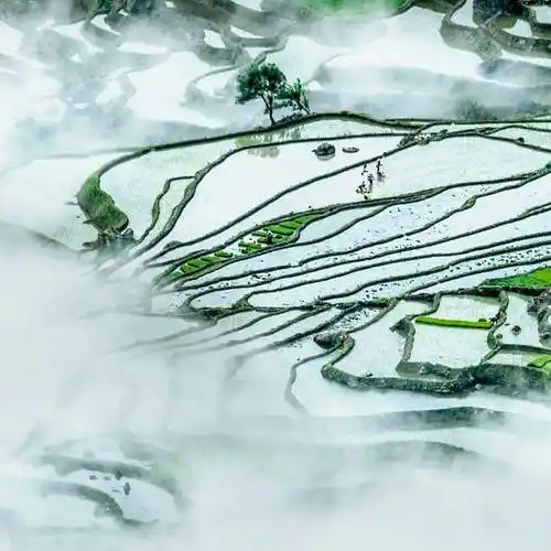 中国到底哪里的梯田最好看?_摄影_贵州省_元阳